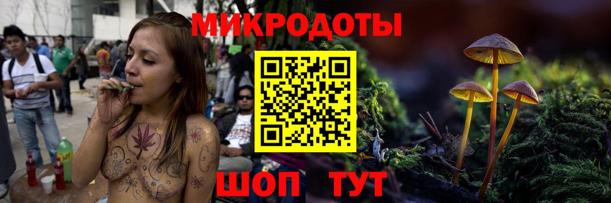 Псилоцибиновые грибы Psilocybine cubensis  Вход с VPN  Сибай 